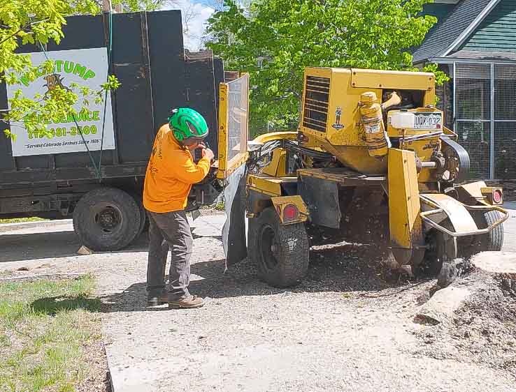 Stump Grinding in Colorado Springs